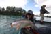 Middle Kenai 5